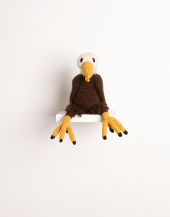 Abraham the Bald Eagle