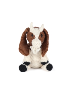 Adam the Boer Goat