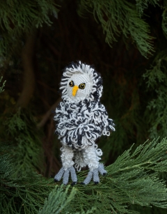 Dodd the Great Grey Owl