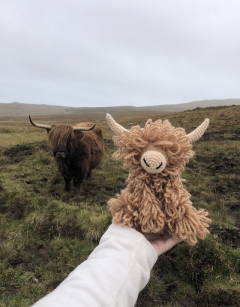 Morag the Highland Coo  