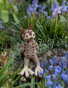 Enid the Long Eared Owl