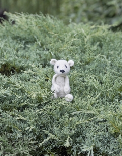 Small Piotr the Polar Bear