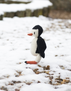 Oscar the Penguin