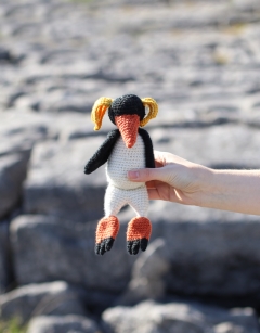 Petra the Rockhopper Penguin