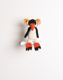 Petra the Rockhopper Penguin