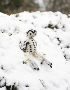 Anik the Snowy Owl