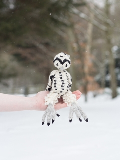 Anik the Snowy Owl